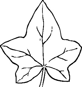 282x297 leaf clip art automatic ivy leaf med on leaf clipart black - Ivy Leaf Drawing