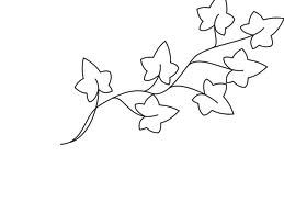 259x194 tattoos ivy flower, leaf drawing, ivy - Ivy Leaf Drawing