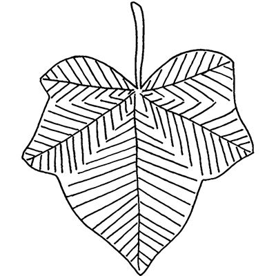 400x400 The English Stamp Company Ivy Leaf - Ivy Leaf Drawing
