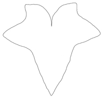 200x191 Untitled Document - Ivy Leaf Drawing