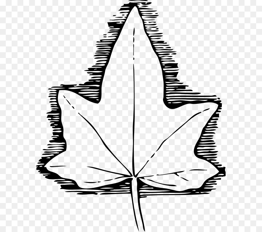 900x800 Vine, Leaf, Drawing, Transparent Png Image Clipart Free Download - Ivy Leaf Drawing