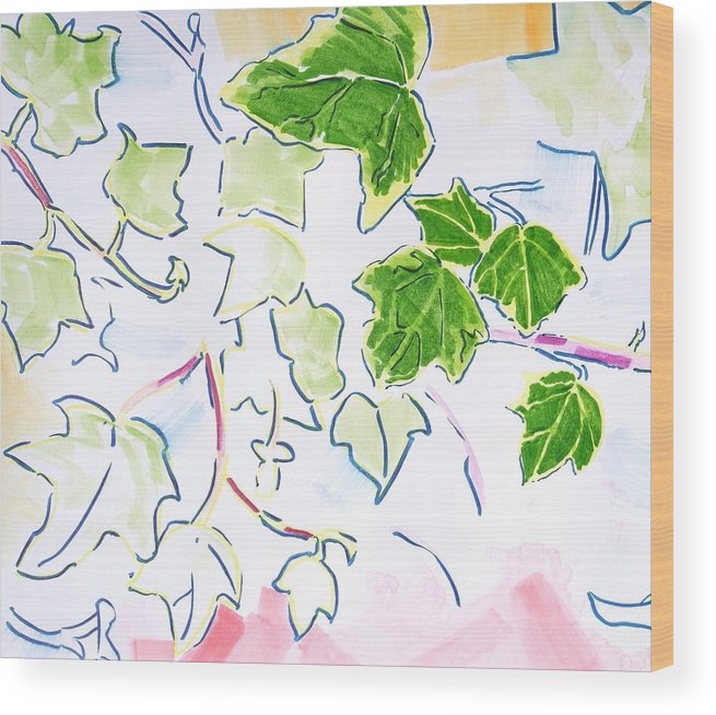 655x654 English Ivy Plant Illustration Wood Print - Ivy Plant Drawing