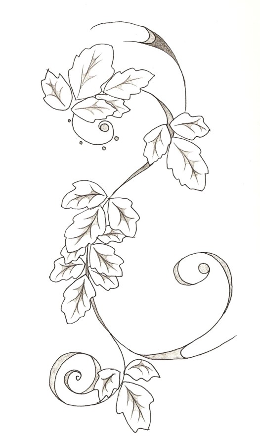 526x902 drawn vine poison ivy vine - Ivy Vine Drawing