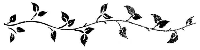 690x174 Ivy Vine Clipart - Ivy Vine Drawing