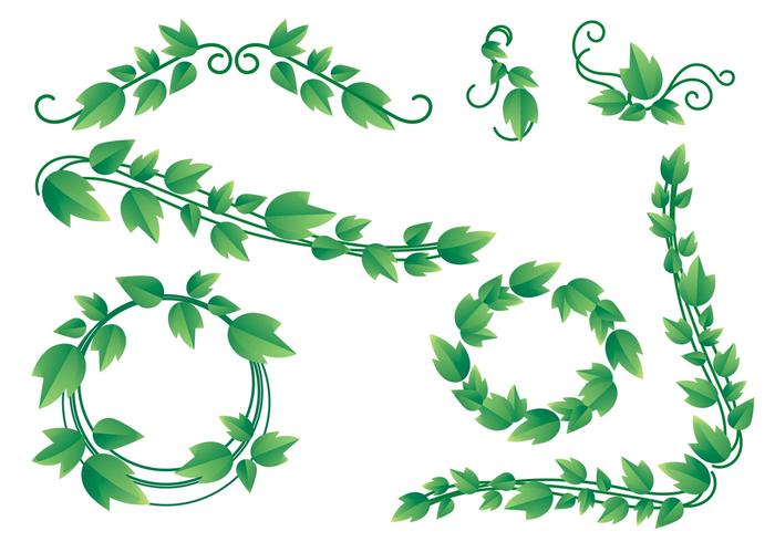 700x490 Vine Free Vector Art - Ivy Vine Drawing