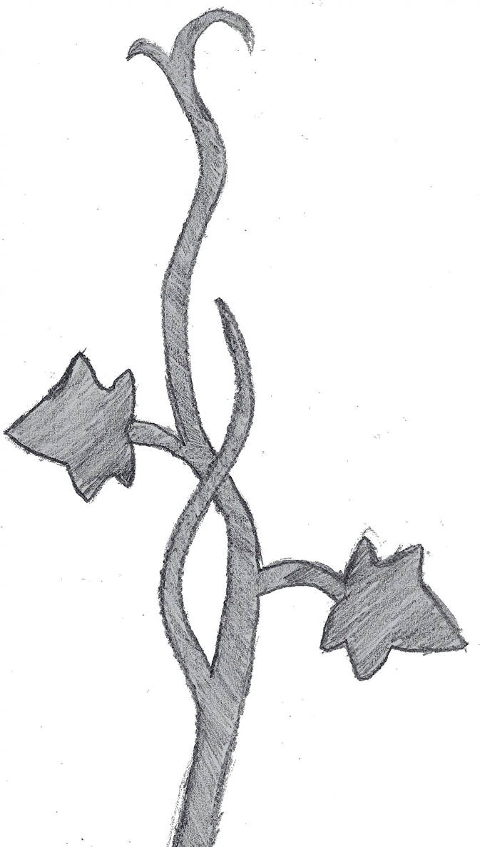 673x1187 Ivy Vine Sketch - Ivy Vine Drawing