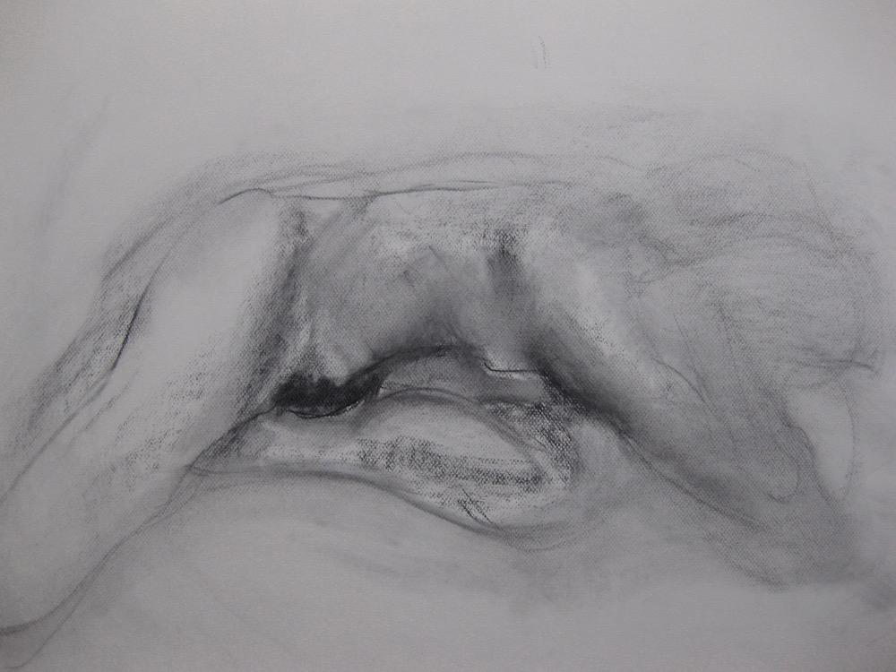 1000x750 Drawings Charcoal Elizabeth J Gilbert - J Drawing