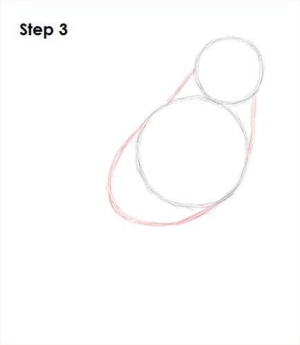 434x500 How To Draw A Blue Jay - J Drawing