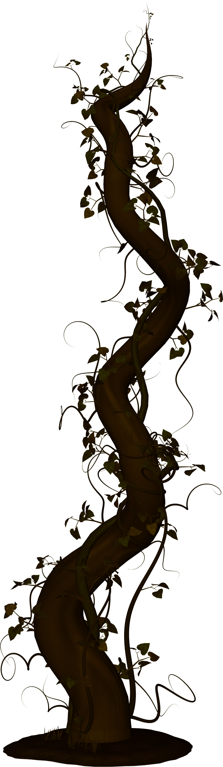 769x2636 Harp Jack And The Beanstalk Transparent Png Clipart Free - Jack And The Beanstalk Drawing