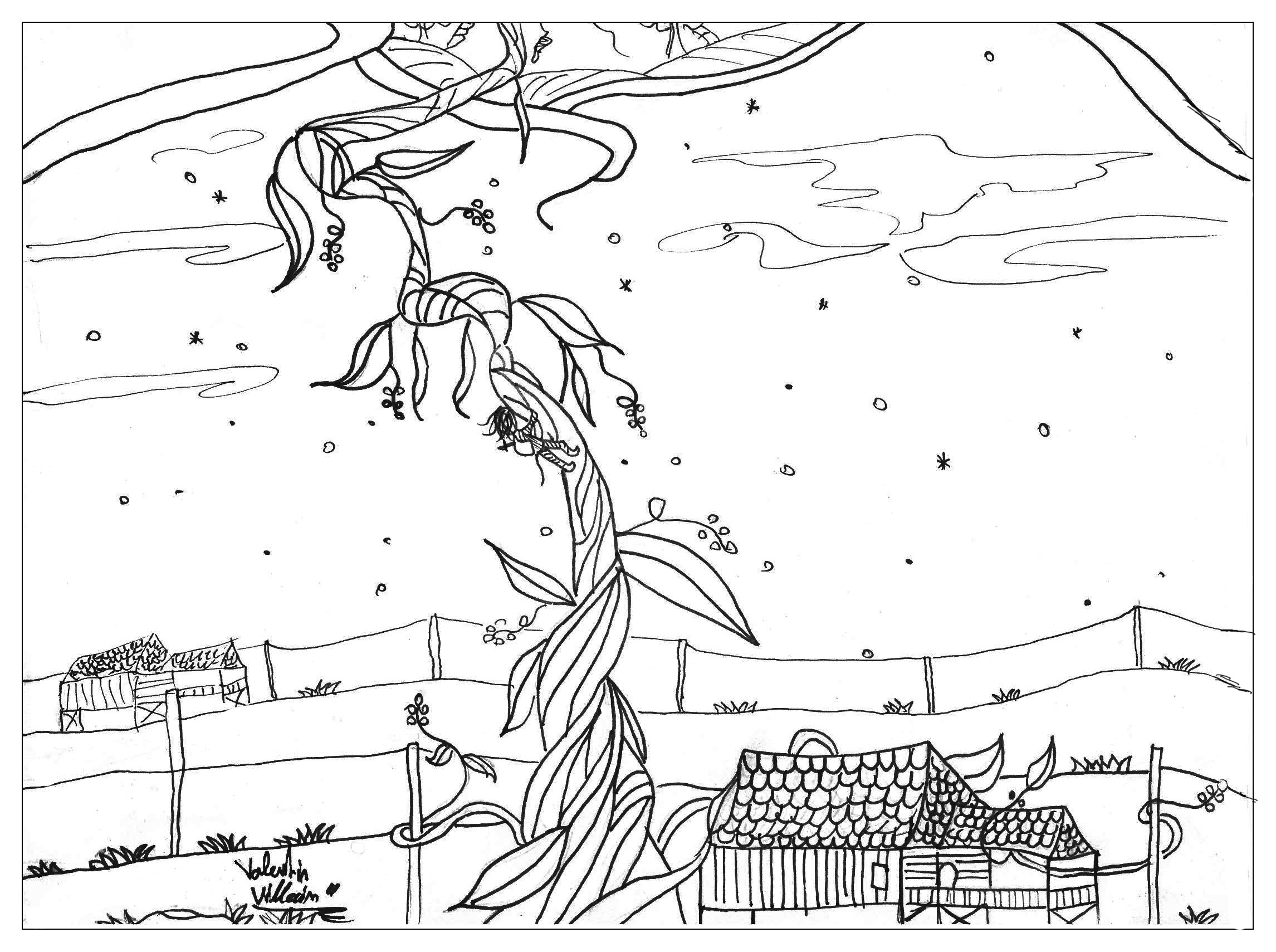 2291x1709 Jack Beanstalk - Jack And The Beanstalk Drawing