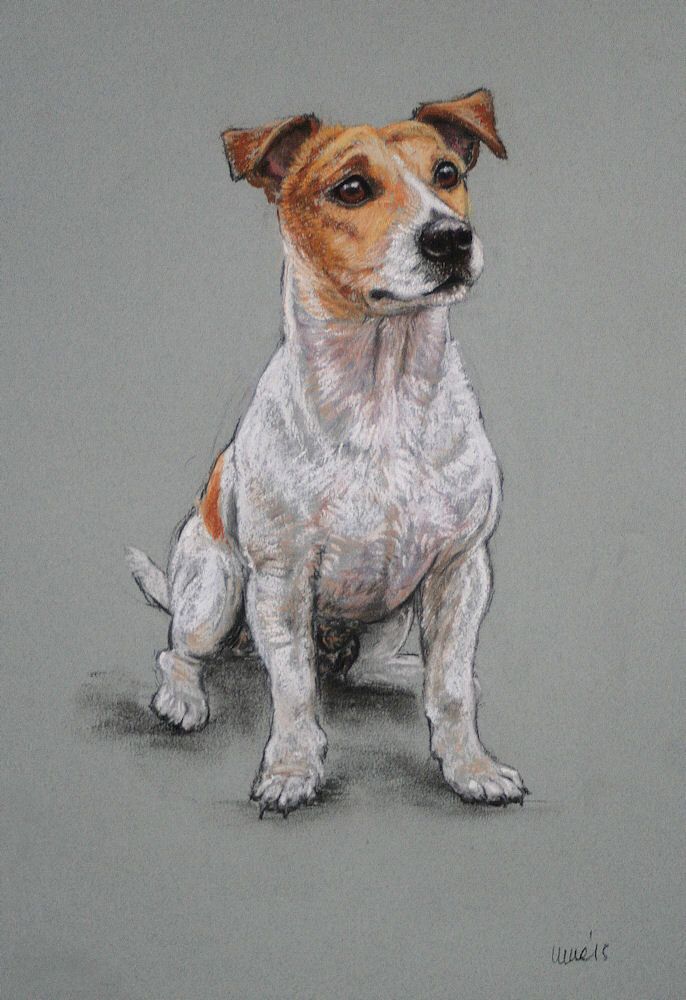 686x1000 God Loves A Terrier Dogs, Dog Art, Art - Jack Russell Drawing