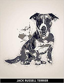 260x336 Jack Russell Terrier Notebook With Alternate Lined And Blank - Jack Russell Terrier Drawing