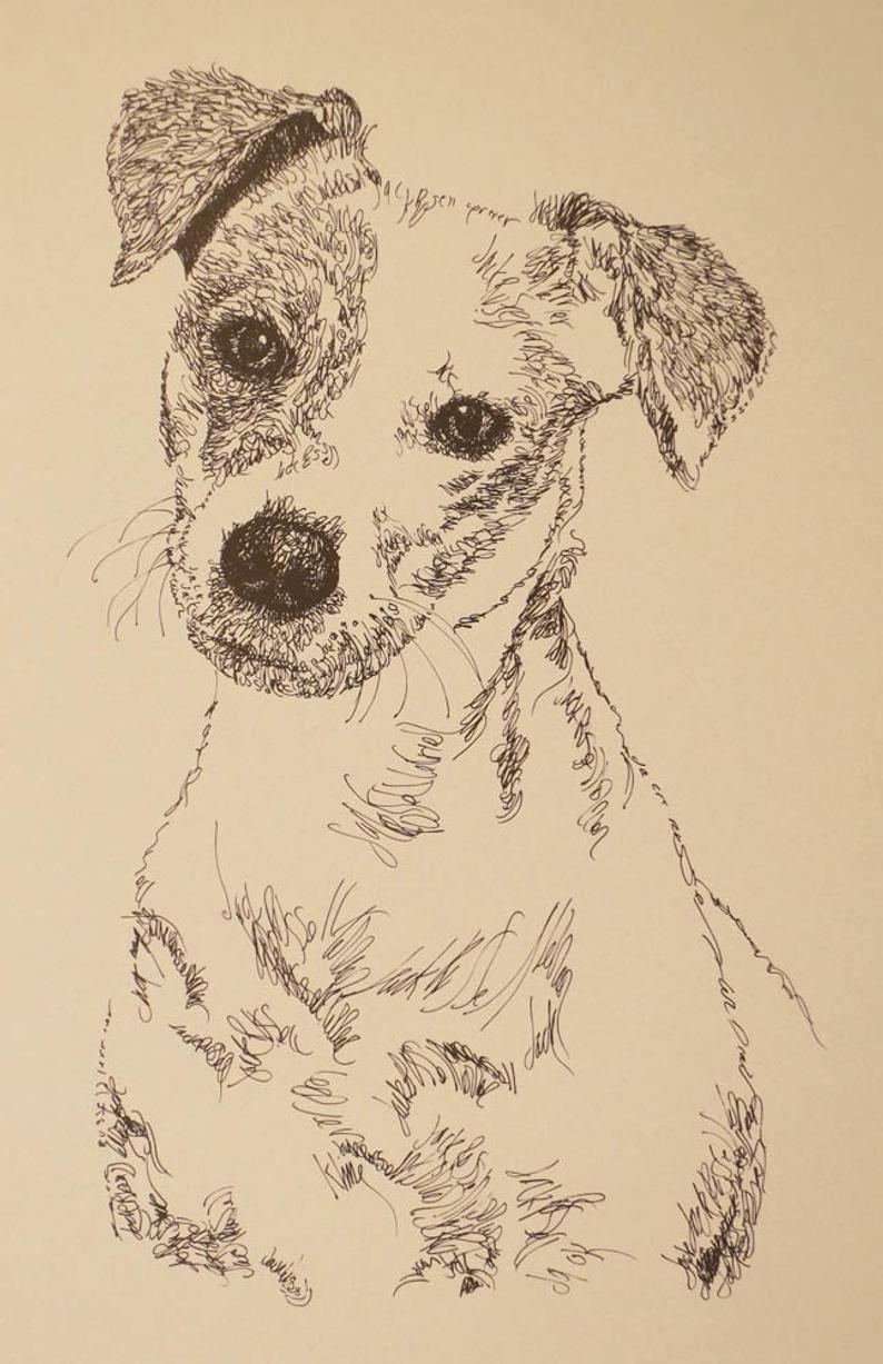 794x1227 Jack Russell Terrier Smooth Dog Art Portrait Drawing From Etsy - Jack Russell Terrier Drawing