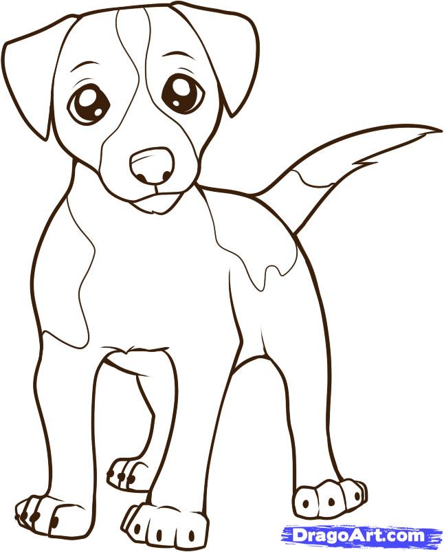 646x803 Step How To Draw A Jack Russell Terrier - Jack Russell Terrier Drawing