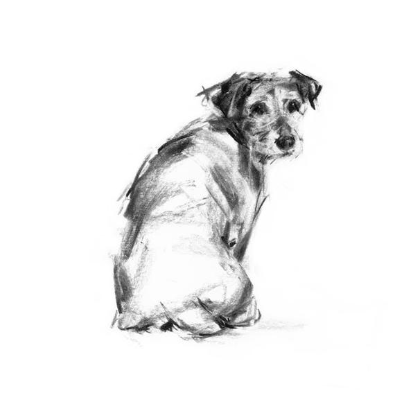 570x570 terrier drawing print jack russell terrier dog sketch dog etsy - Jack Russell Terrier Drawing