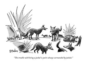 300x215 jackal drawings fine art america - Jackal Drawing