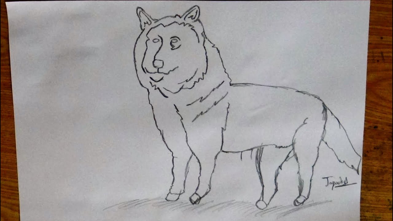 1280x720 drawing art - Jackal Drawing