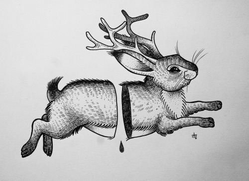 500x364 Jackalope Drawing, Pencil, Sketch, Colorful, Realistic Art Images - Jackalope Drawing