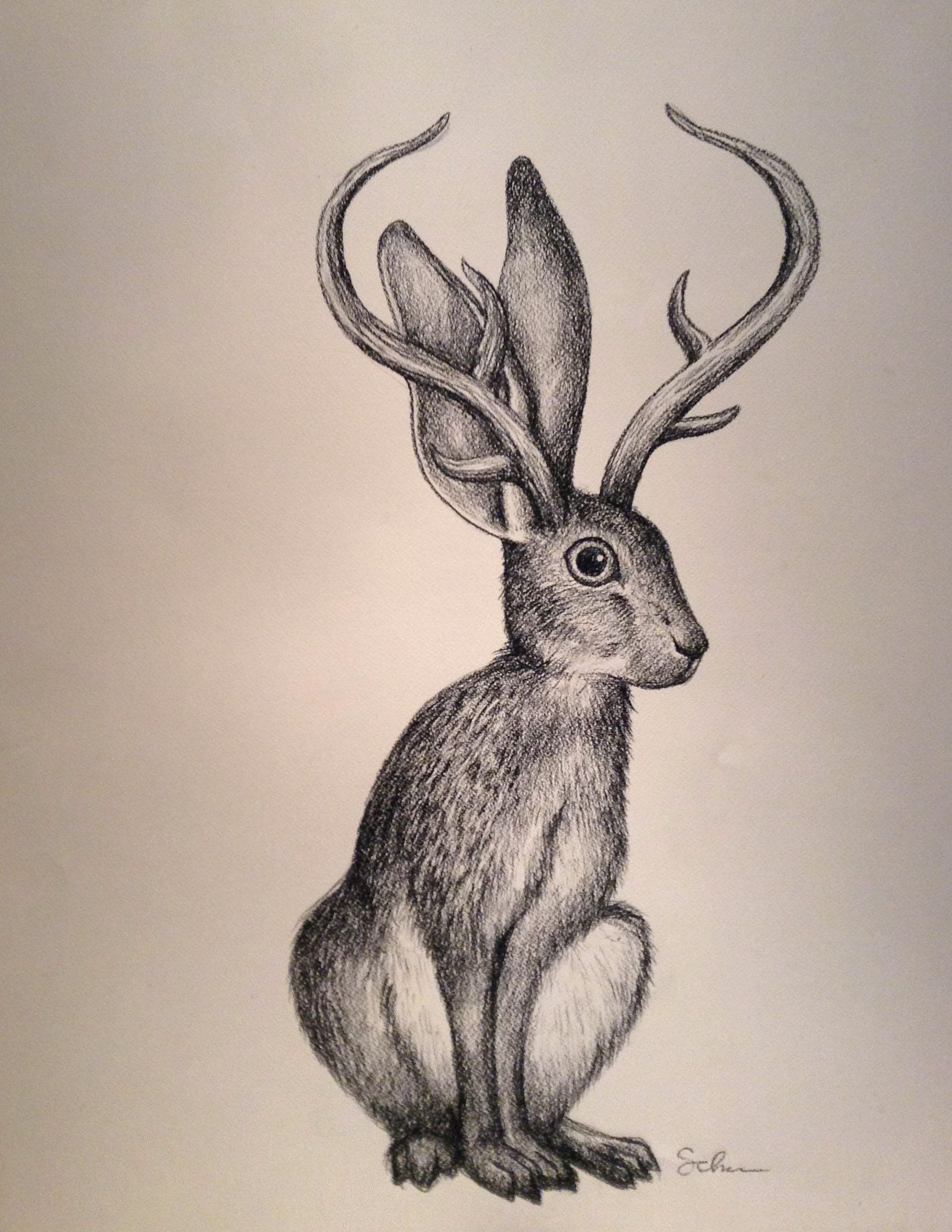 1734x2244 Jackalope Drawing Image Drawing Skill - Jackalope Drawing