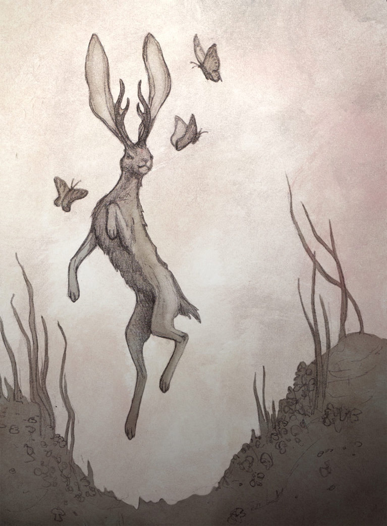 767x1042 Jackalope Drawing For Free Download - Jackalope Drawing