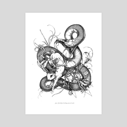 540x540 Jackalope Battling Speared Snake, An Art Print - Jackalope Drawing