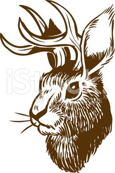 236x355 Best Jackalope Images Drawings, Bunny Tattoos, Rabbit Tattoos - Jackalope Drawing