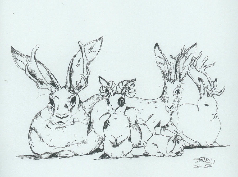 900x672 Jackalopes Drawing - Jackalope Drawing
