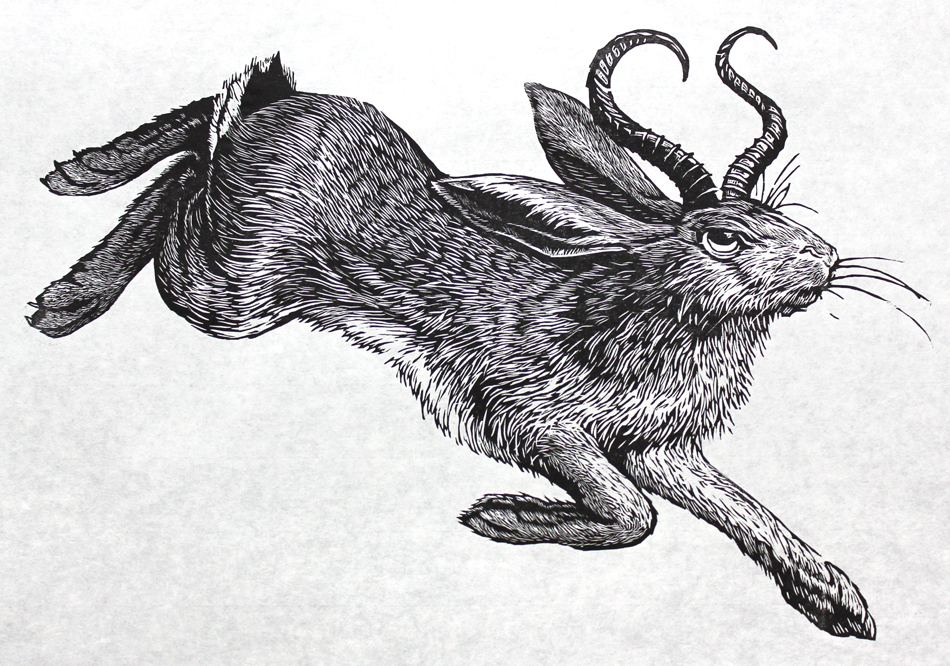 Jackalope Drawing at PaintingValley.com | Explore collection of