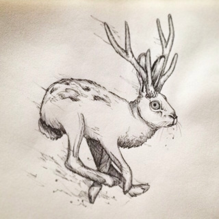 320x320 Jackalope Drawings On Paigeeworld Pictures Of Jackalope - Jackalope Drawing