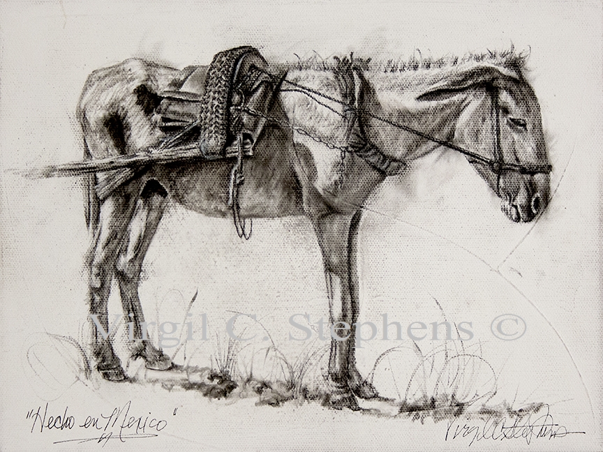 Jackass Drawing at Explore collection of Jackass