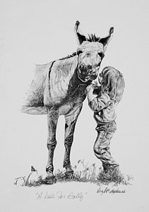 211x300 Jackass Drawings Fine Art America - Jackass Drawing