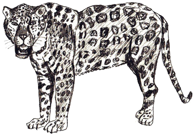 400x274 how to draw a jaguar - Jaguar Animal Drawing