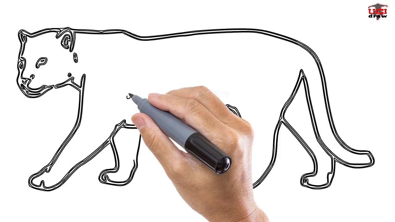 1280x720 how to draw a jaguar easy step - Jaguar Animal Drawing