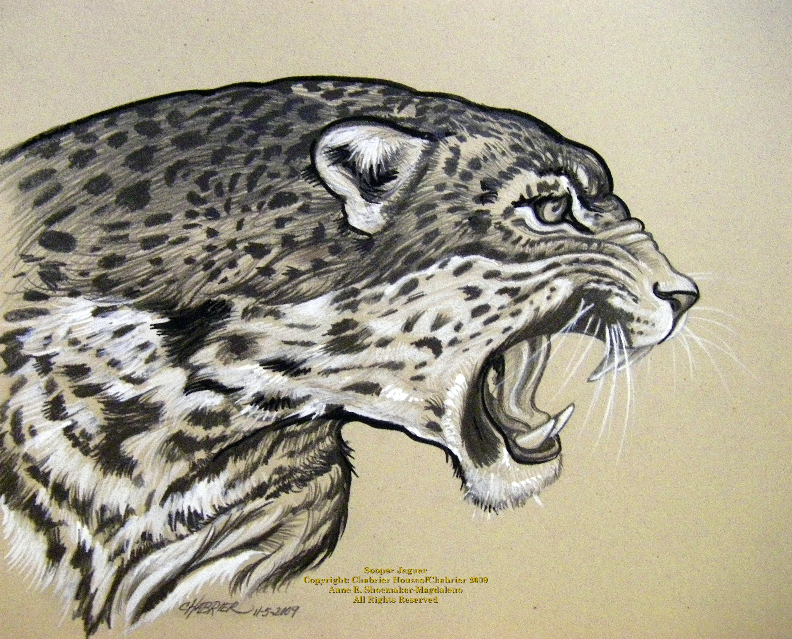 Jaguar Animal Drawing at Explore collection of