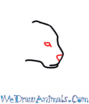 300x350 How To Draw A Jaguar - Jaguar Cartoon Drawing