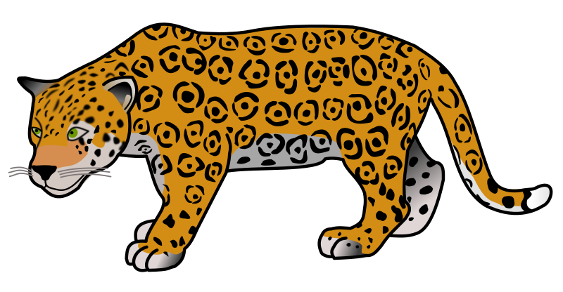 Jaguar Cartoon Drawing at Explore