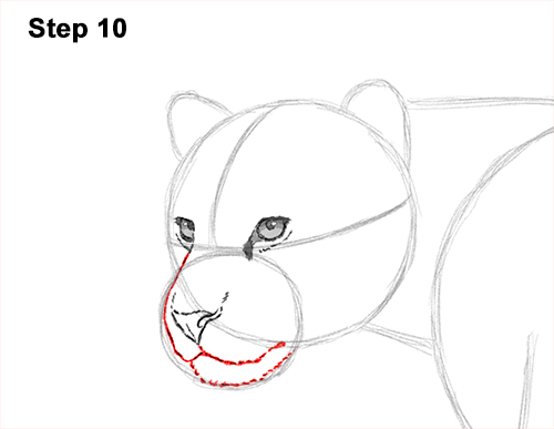500x387 Jaguar Drawing Free Download - Jaguar Cartoon Drawing
