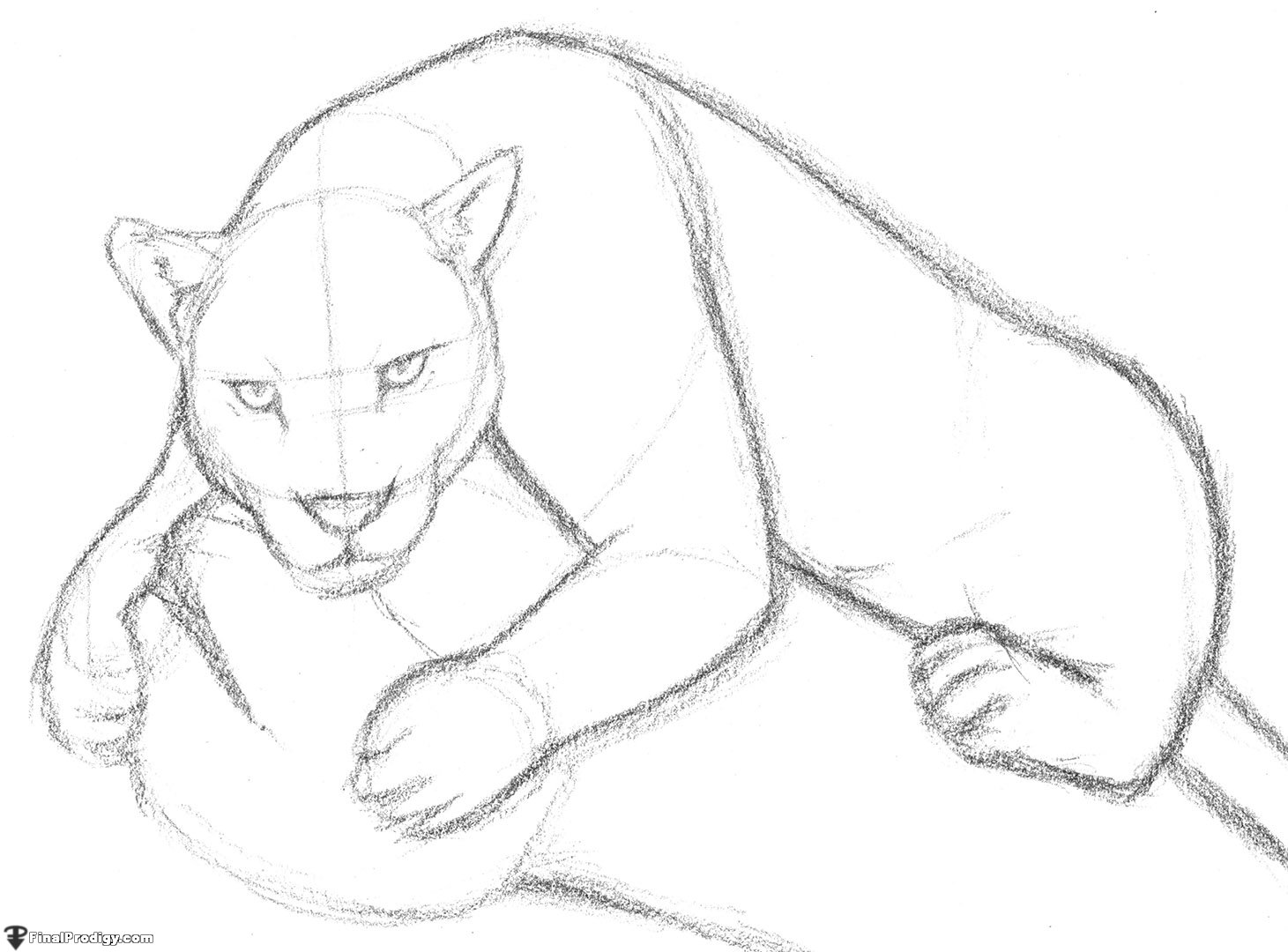 1461x1080 Photos Jaguar Drawing For Kids - Jaguar Cartoon Drawing