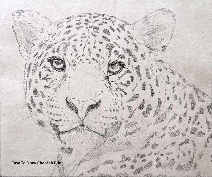 736x616 Easy To Draw Cheetah Print Best Jaguar Drawings Images - Jaguar Drawing