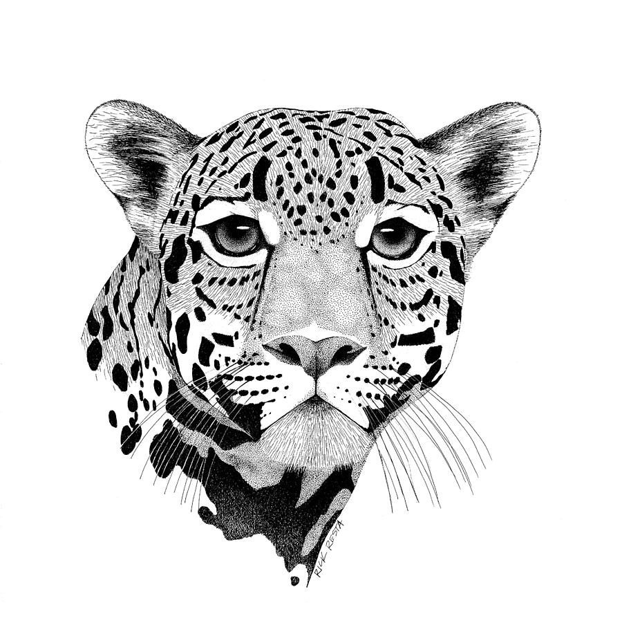 900x894 Jaguar Drawing - Jaguar Drawing