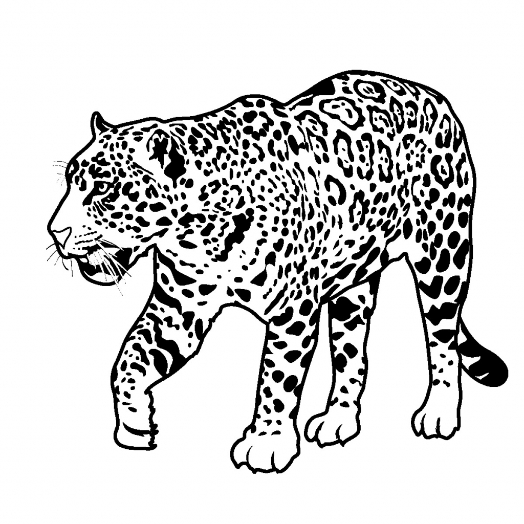 1024x1024 Jaguar Drawing Free Download - Jaguar Drawing