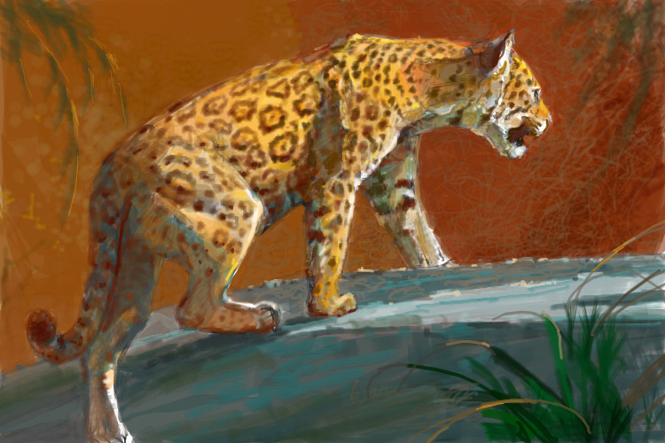 750x500 Jaguar Drawn From The Inside Out An Animals Speedpaint Drawing - Jaguar Drawing
