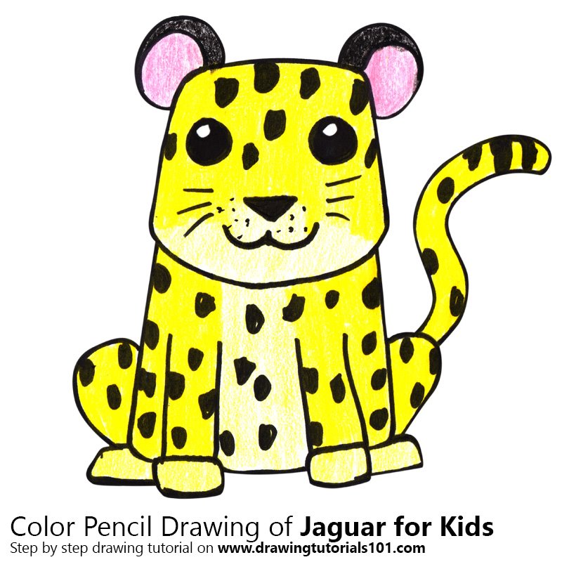 800x800 Learn How To Draw A Jaguar For Kids - Jaguar Drawing