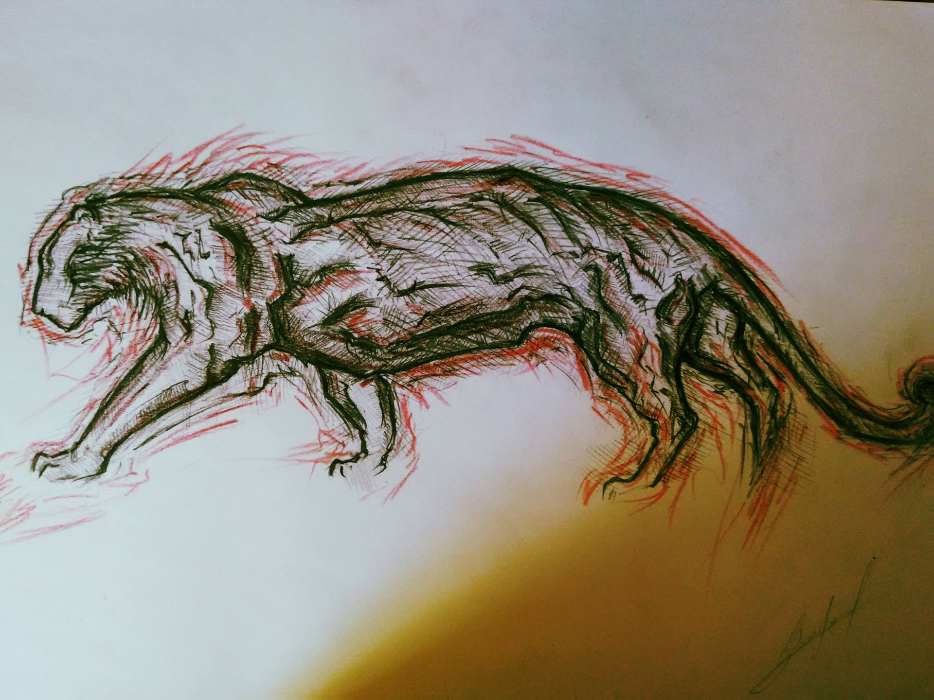 1920x1440 Red Black Jaguar Drawing - Jaguar Drawing