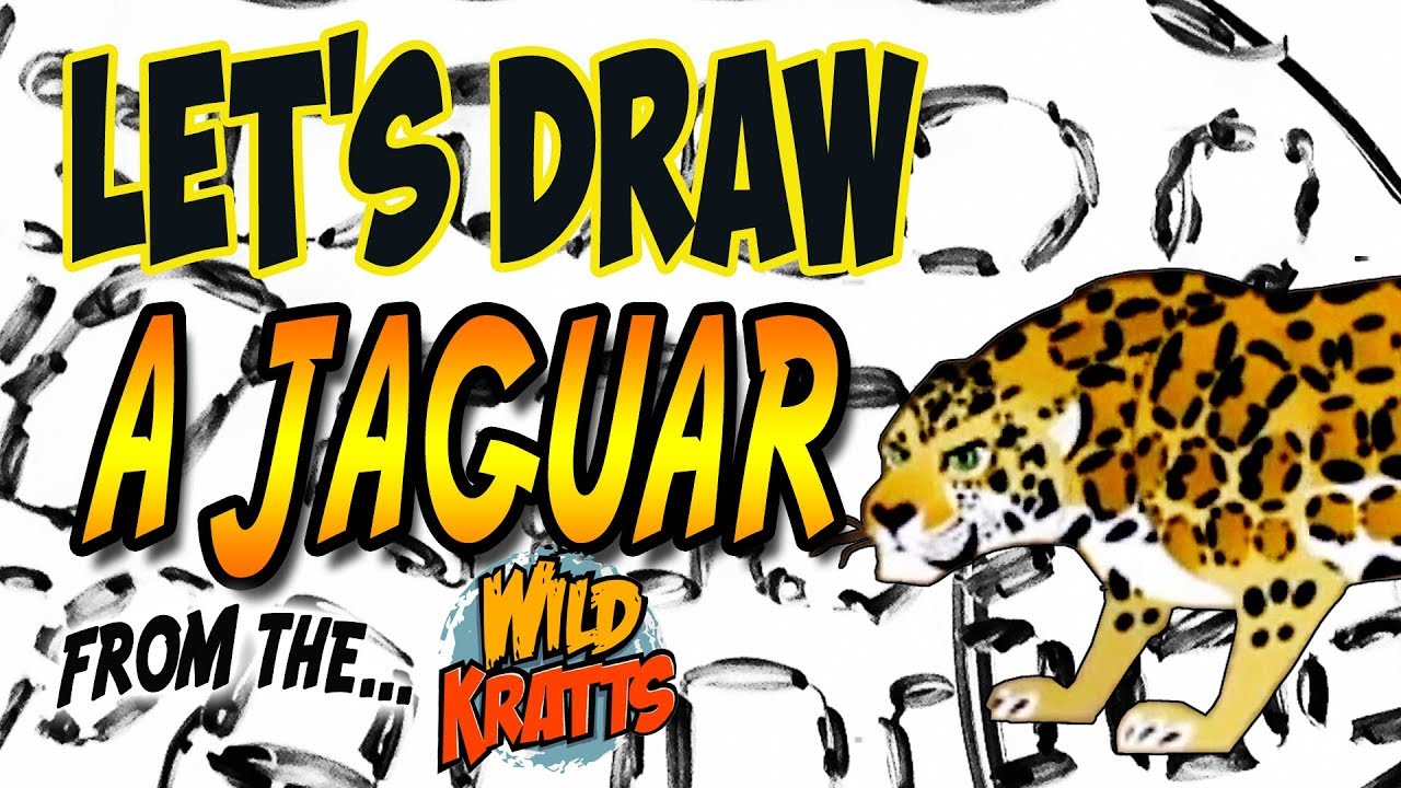 1280x720 drawing a jaguar from wild kratts with basic shapes and lines - Jaguar Drawing
