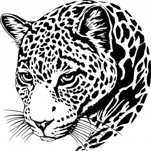 Jaguar Face Drawing at PaintingValley.com | Explore collection of