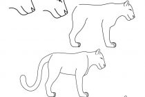 210x140 Tag Jaguar Face Drawing Easy - Jaguar Face Drawing