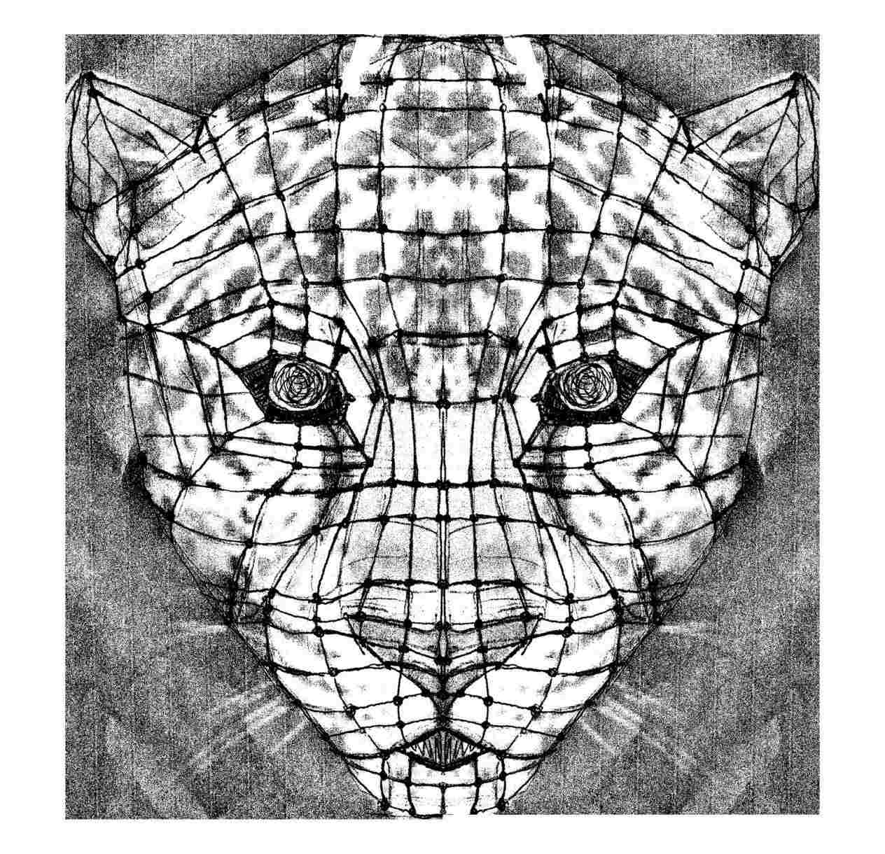 1264x1220 symmetrical jaguar face drawing - Jaguar Face Drawing