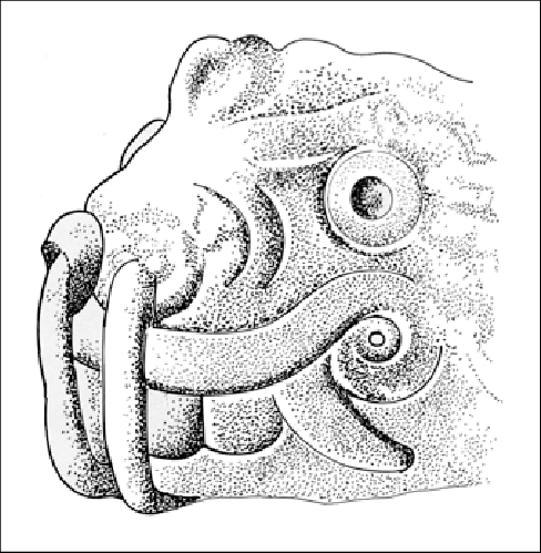 488x499 Drawing Of A Stone Tenon Head From De Showing - Jaguar Head Drawing