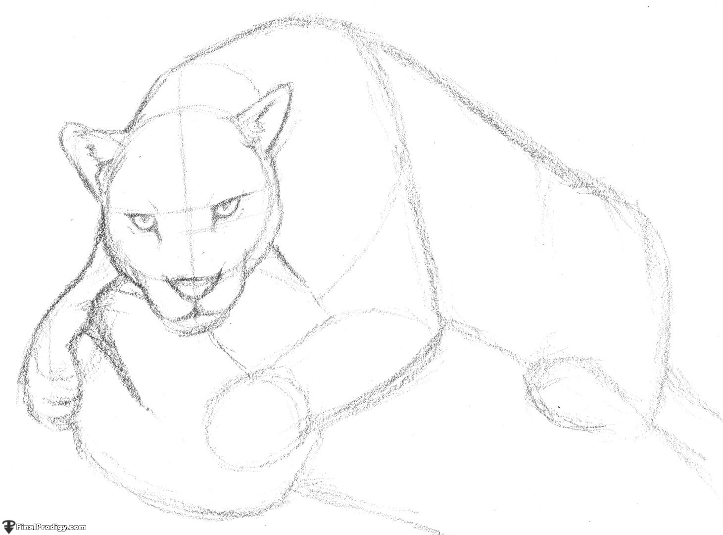 1461x1080 How To Draw A Jaguar - Jaguar Head Drawing